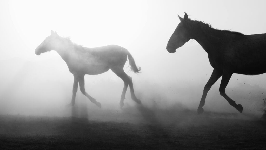 Developing Straightness