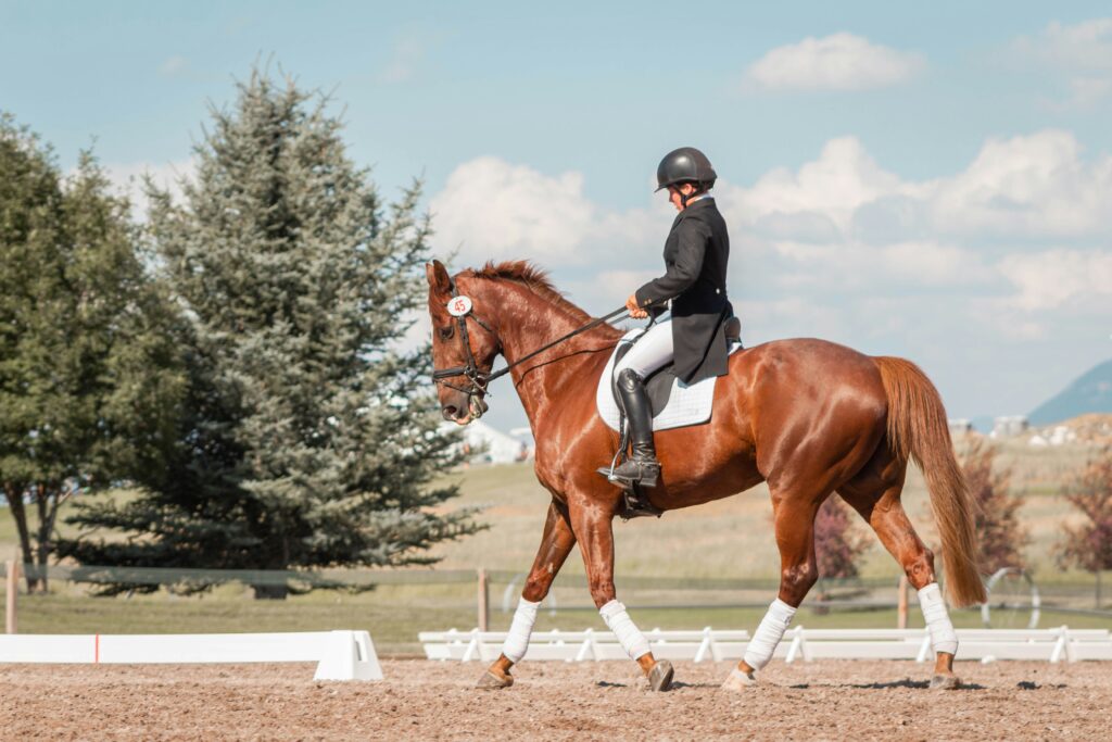 Dressage rider on a chestnut horse at trot, sitting upright while pulling back on the reins in an outdoor arena.