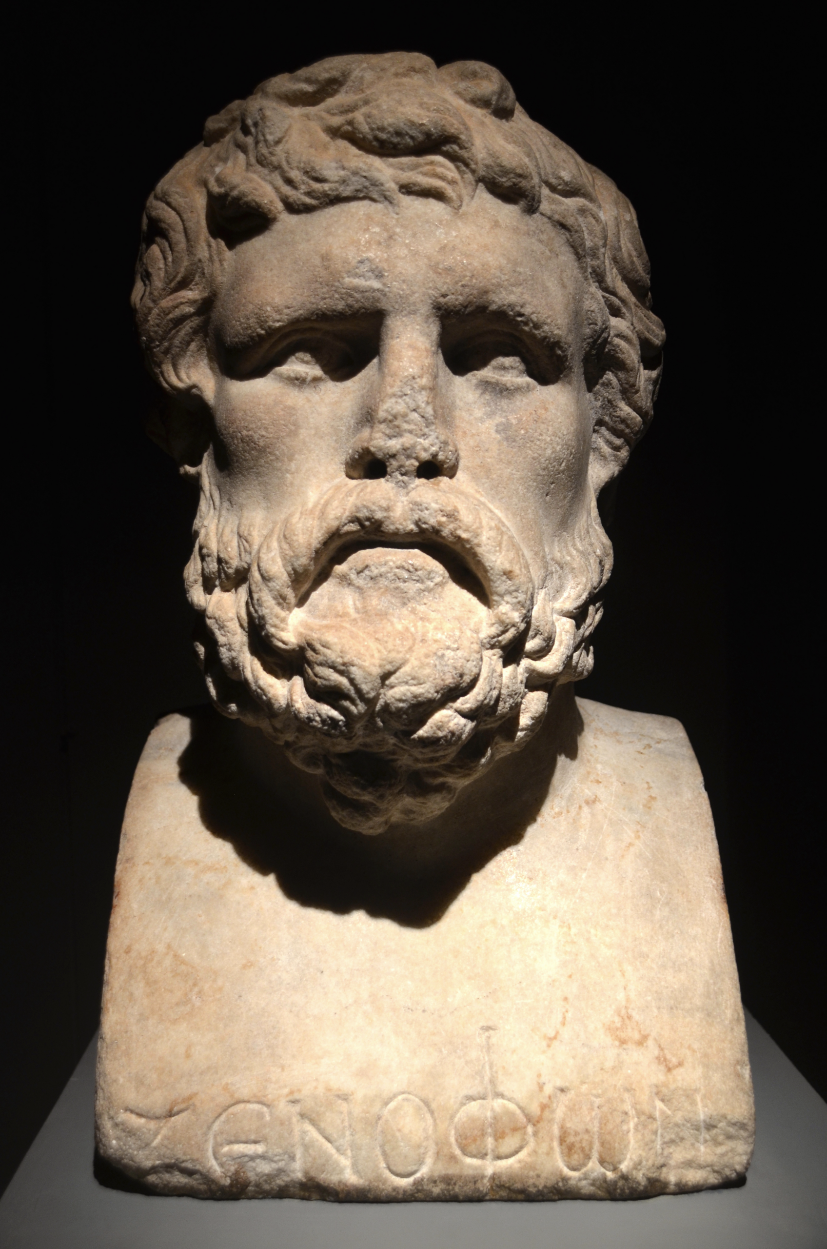 Marble bust of Xenophon with curly hair and a full beard, front-lit against a dark background, name inscription on the base.